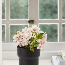 Homing Plastik Saksı Siyah 11 cm SEH-4620
